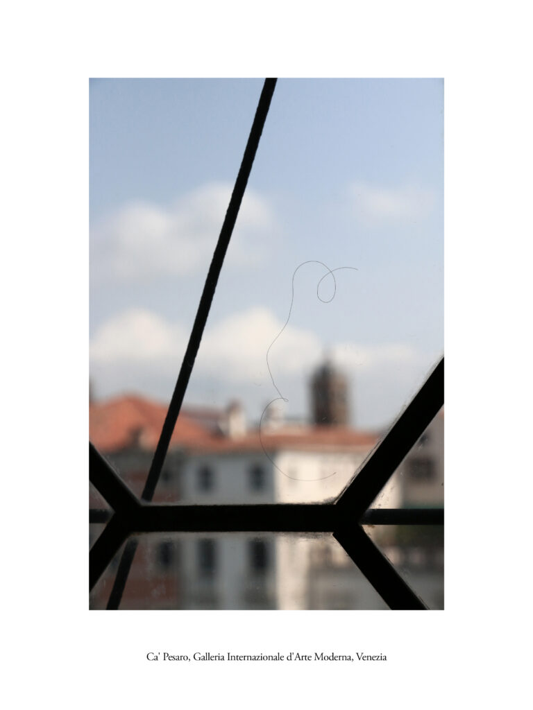 Ca_Pesaro venice