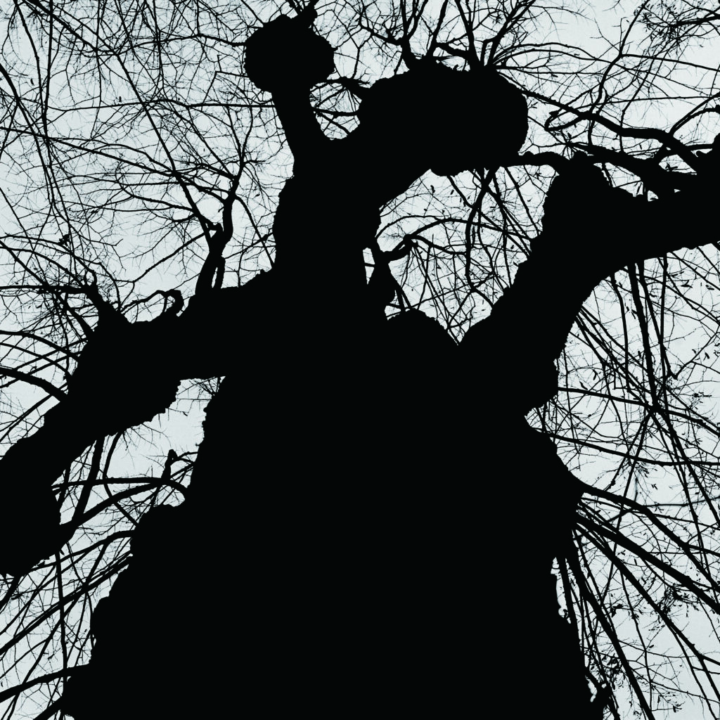 tree, Inkjet print, 2008~2019