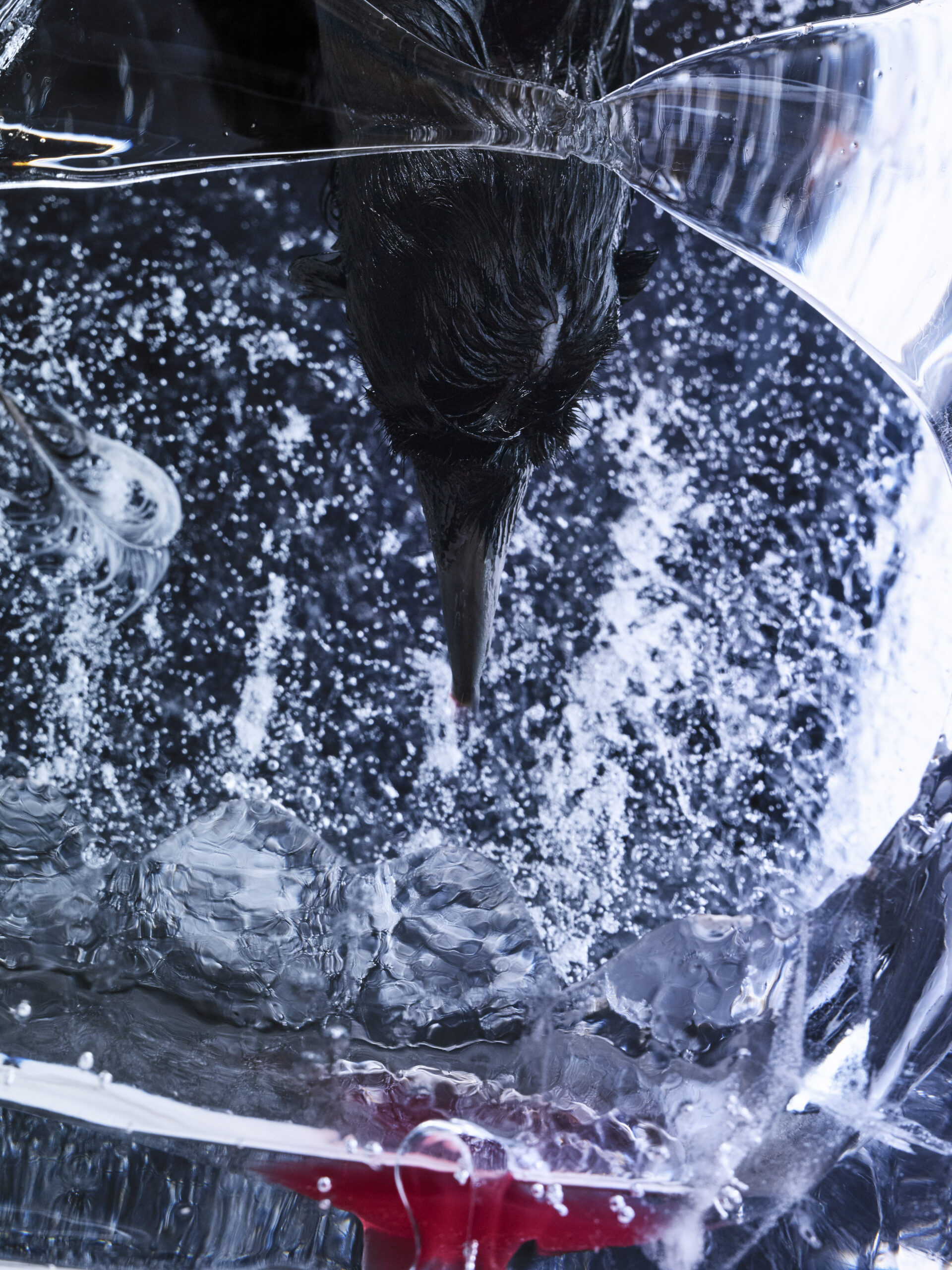 〈FROZEN GAZE_881844〉, 2025, Pigment print ⓒ 조선희