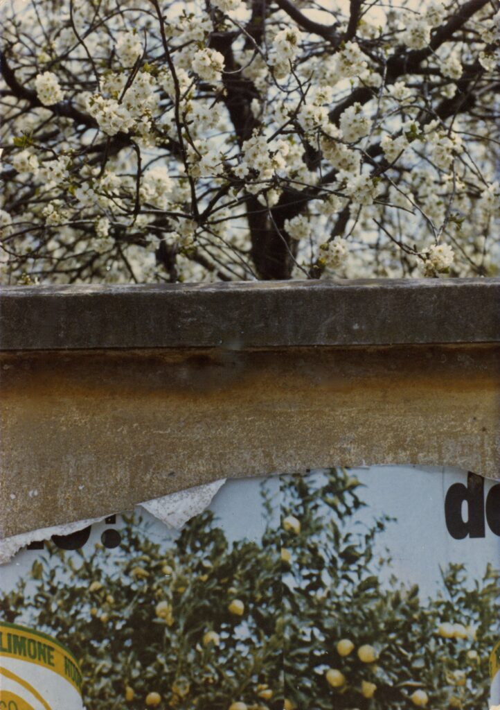 Modena, Kodachrome series, 1973, C-print, 20×14cm, © Heirs of Luigi Ghirri
