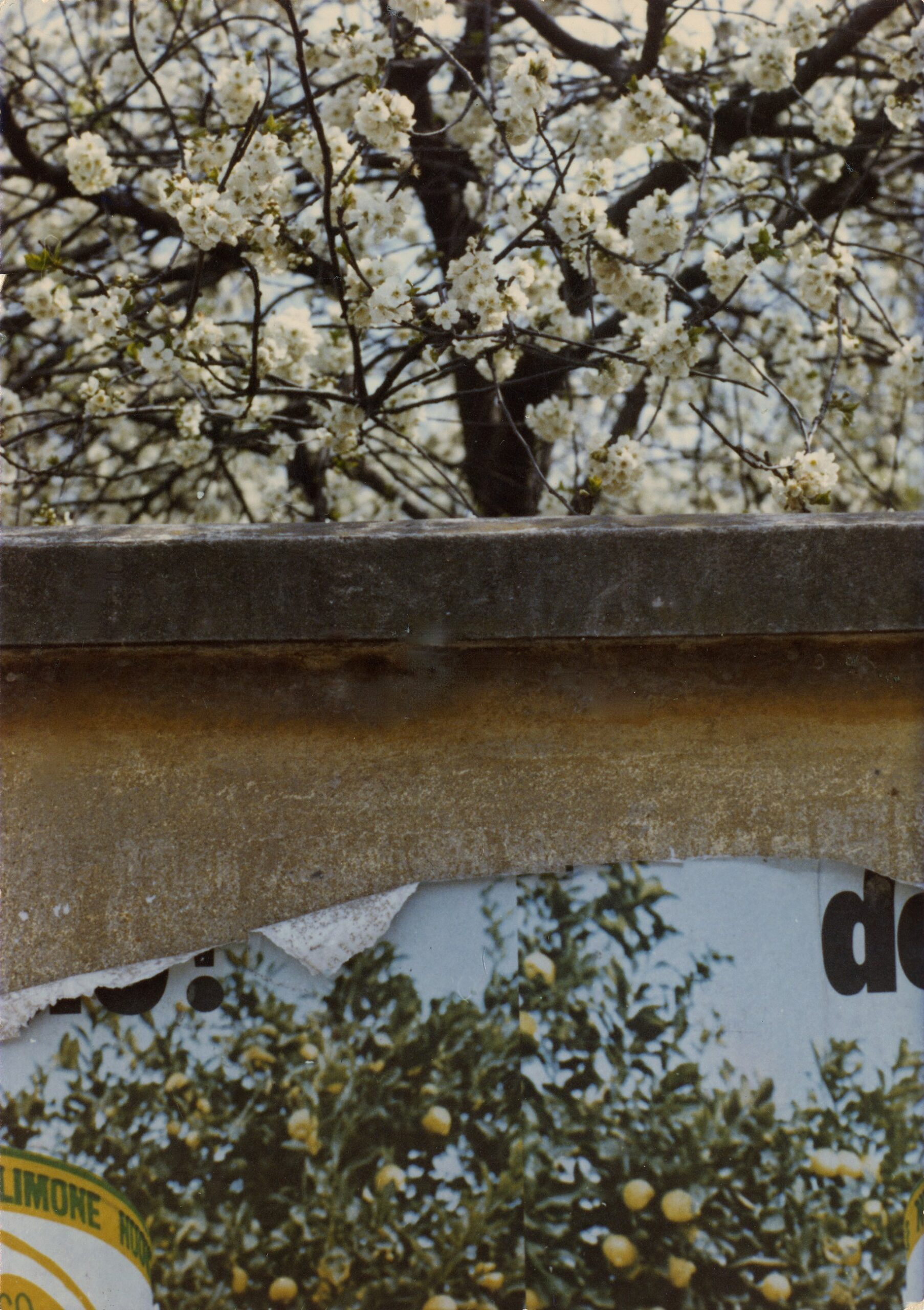 Modena, Kodachrome series, 1973, C-print, 20×14cm, © Heirs of Luigi Ghirri