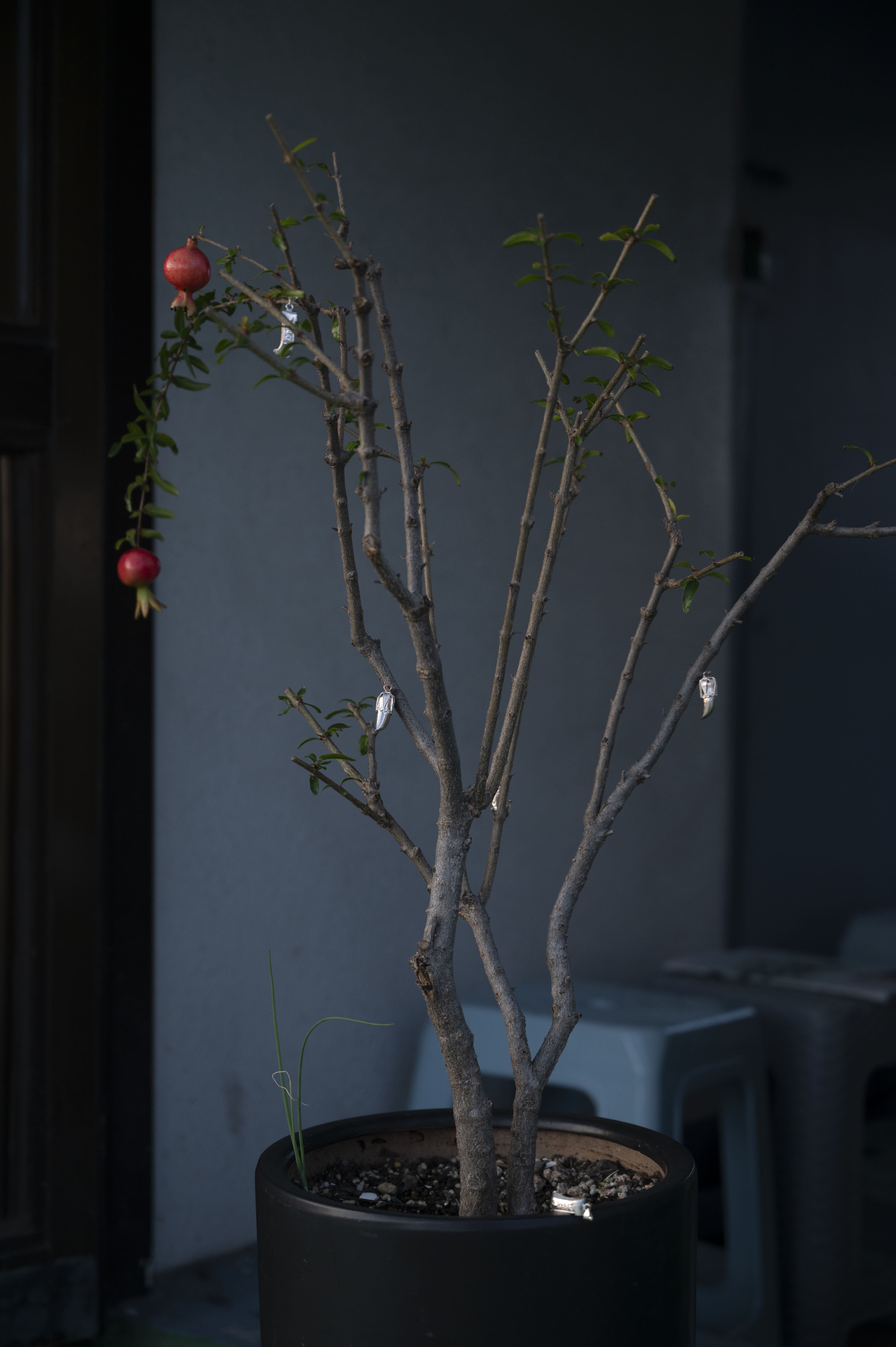 김지원, 〈저고리 단추〉, 2025, Inkjet print, 100x66.5cm