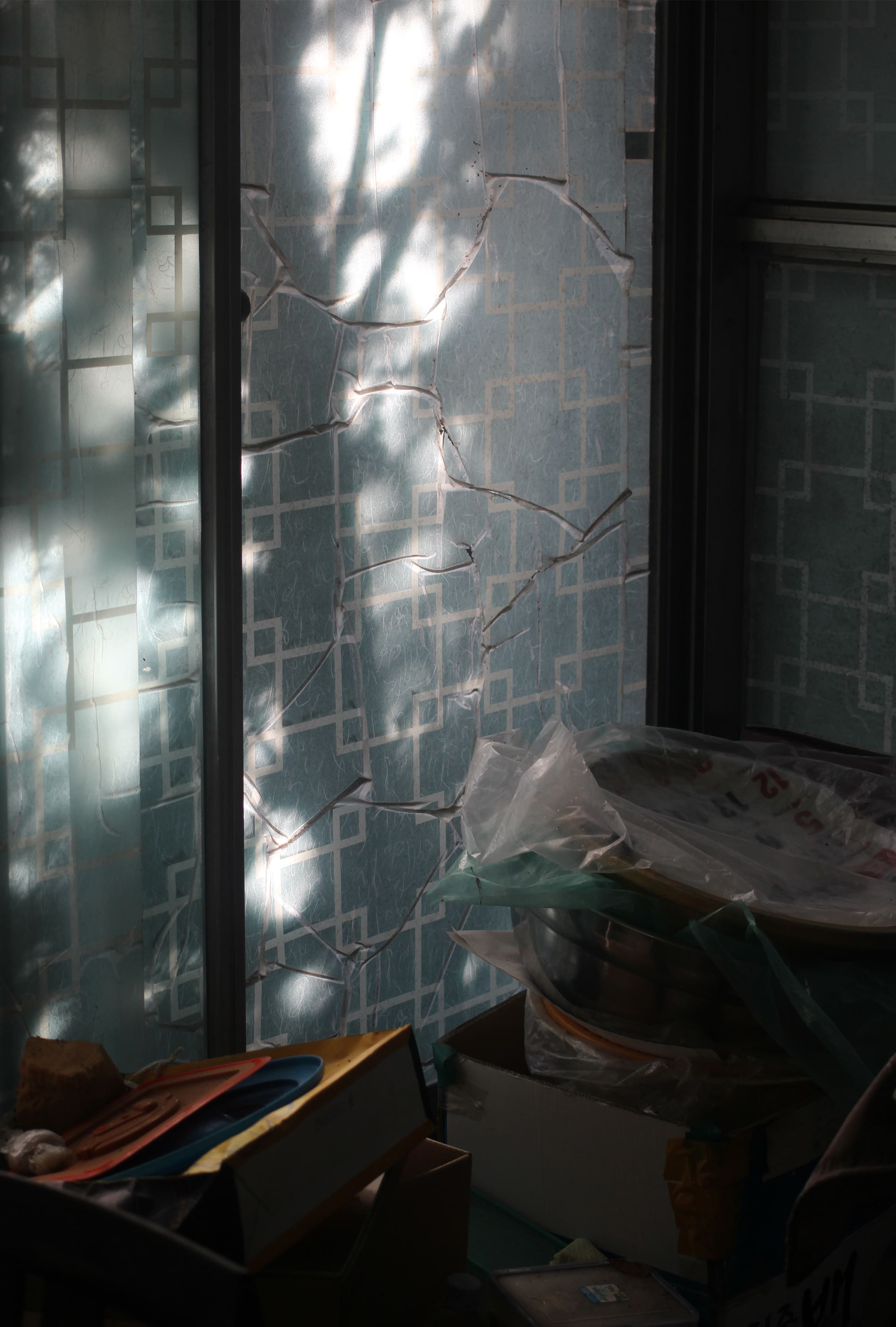 노정균, 〈감나무-1982〉, Print on backlit film, 58x42cm