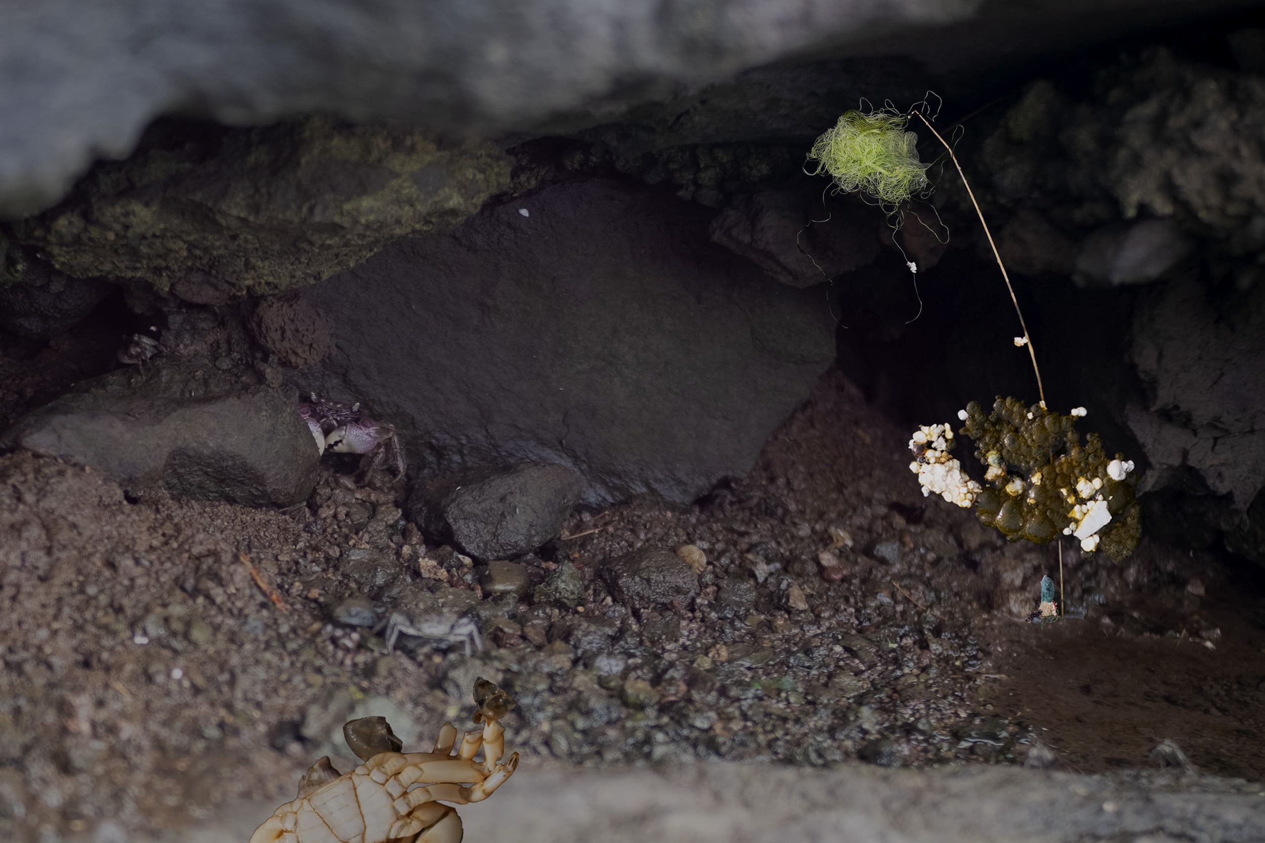 손은지, 〈timshel〉, 2025, Inkjet print, 23.4x35cm