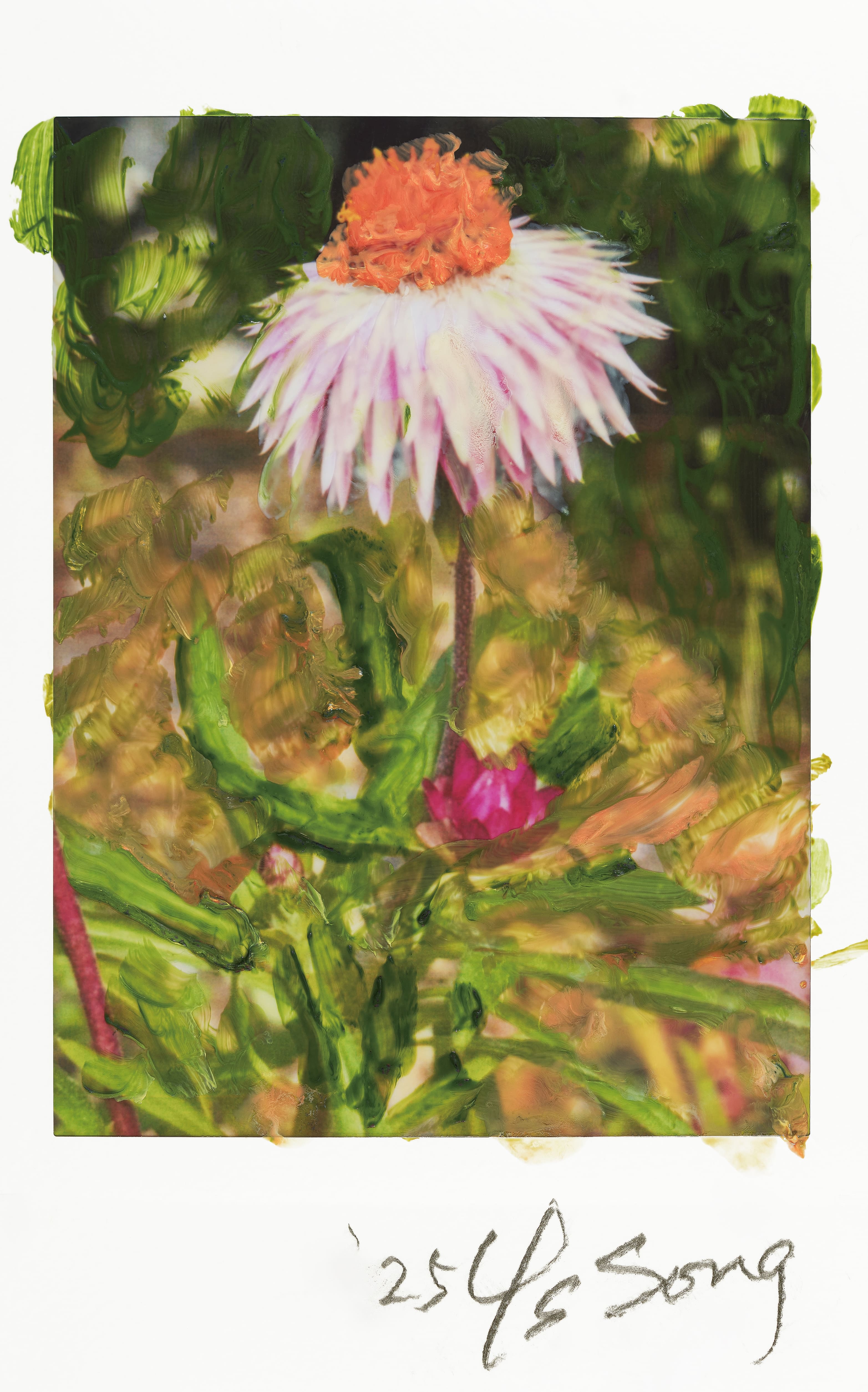 〈Meditation on the Road 길 위에서〉, 2025, Oil painting on polaroid, © 송영숙