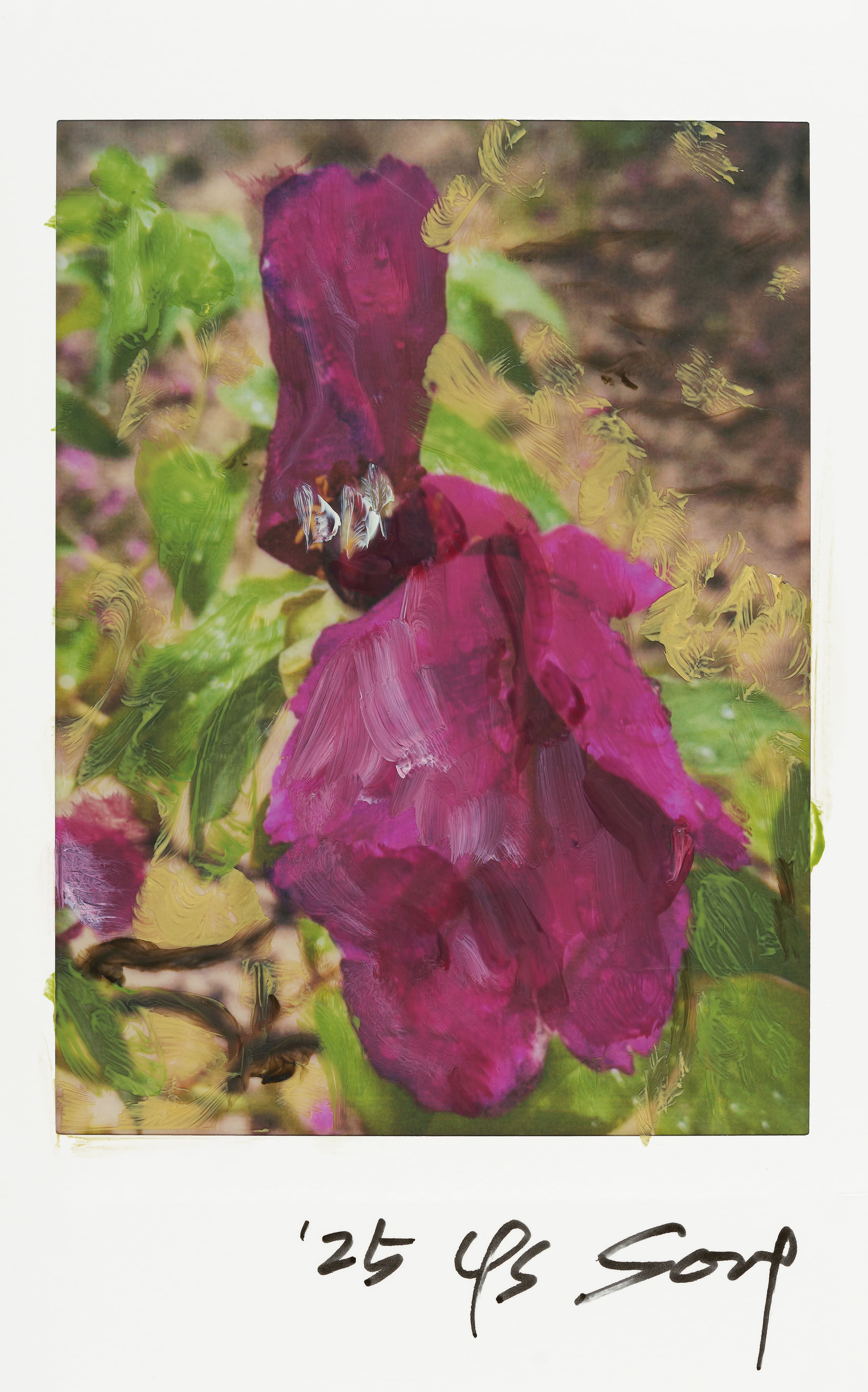 〈Meditation on the Road 길 위에서〉, 2025, Oil painting on polaroid, © 송영숙