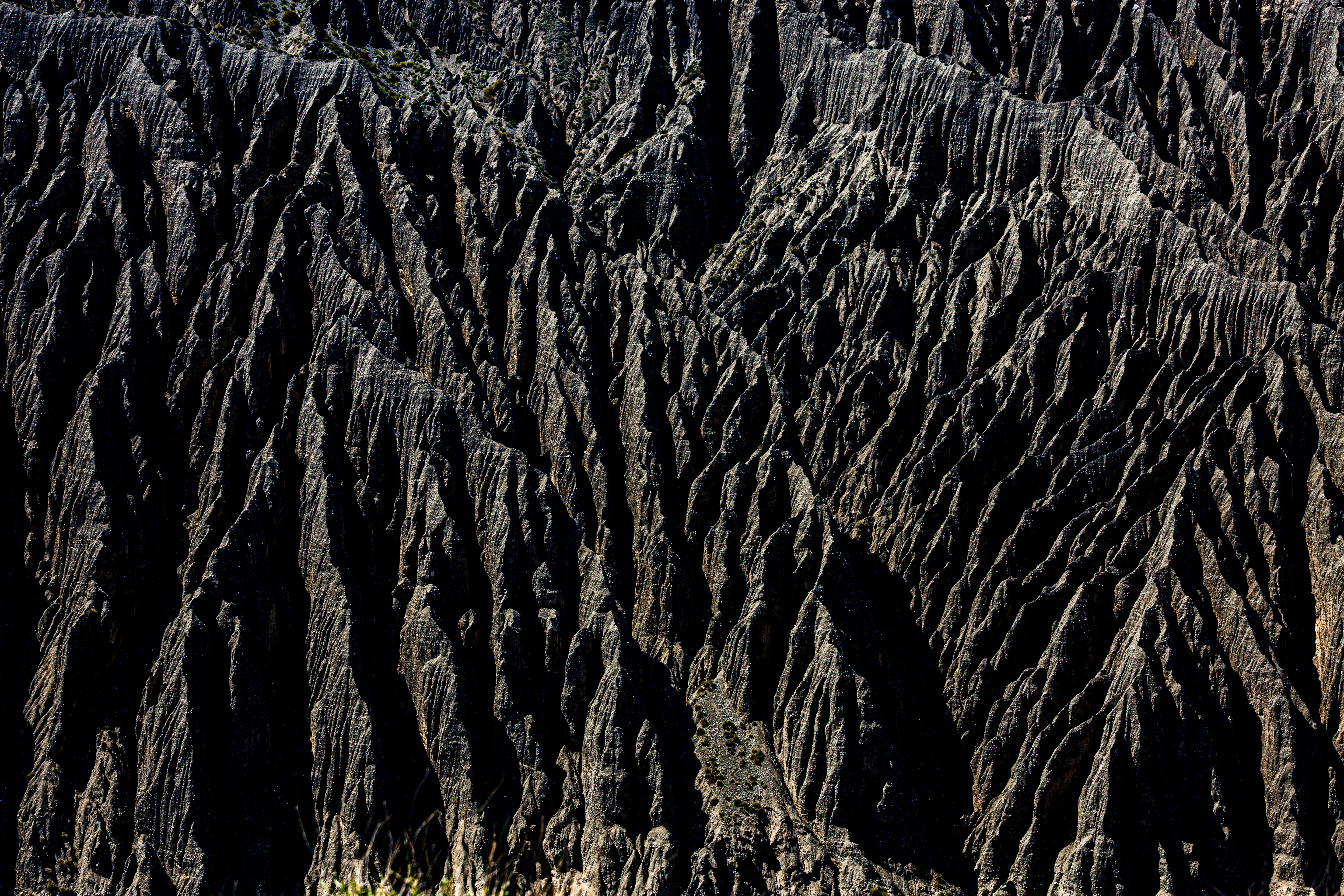 2018, 〈Harmony〉, Inkjet print, 40x60cm