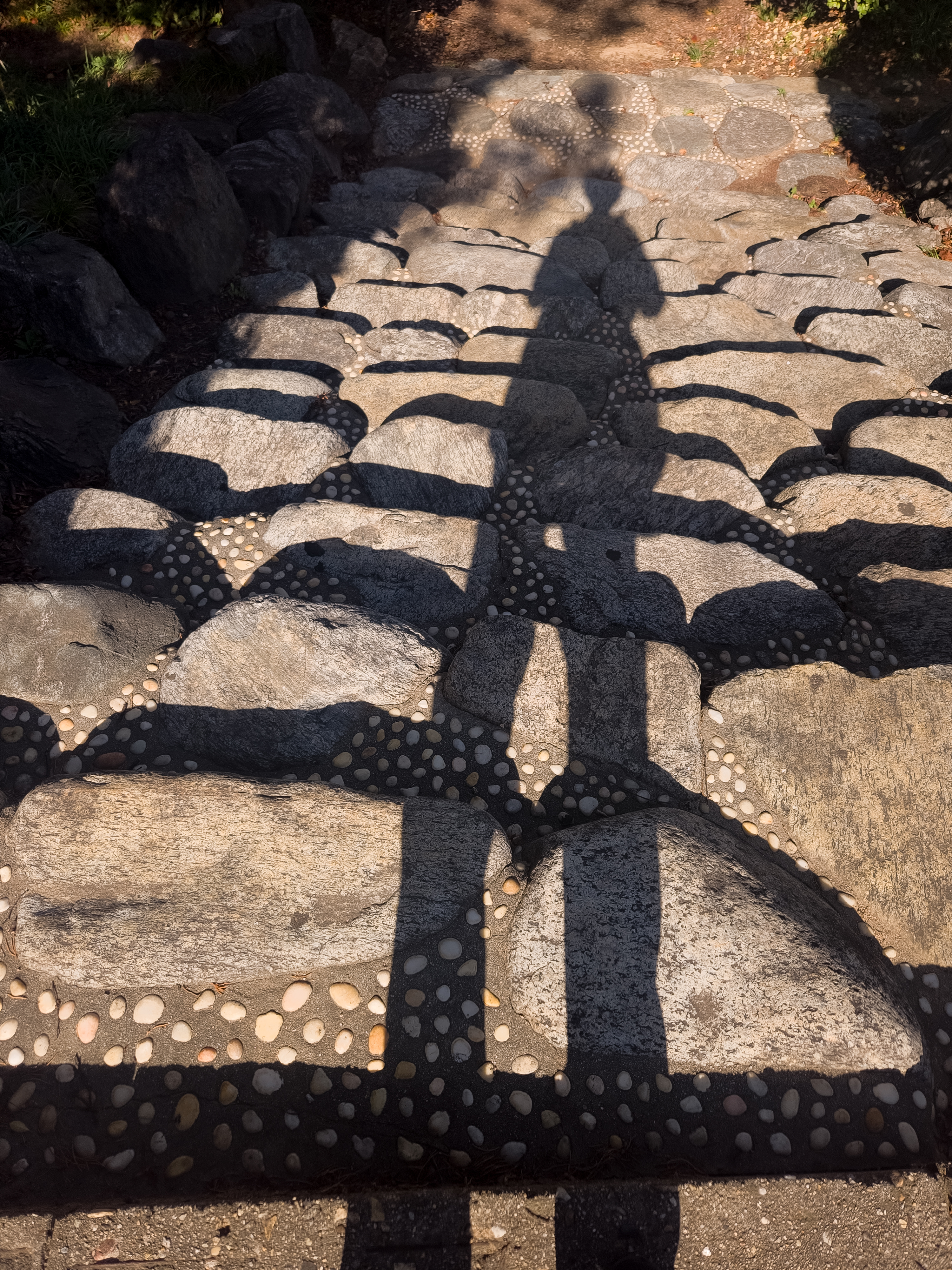 2024, 〈Alone, but not Lonely〉, Inkjet print, 40x60cm