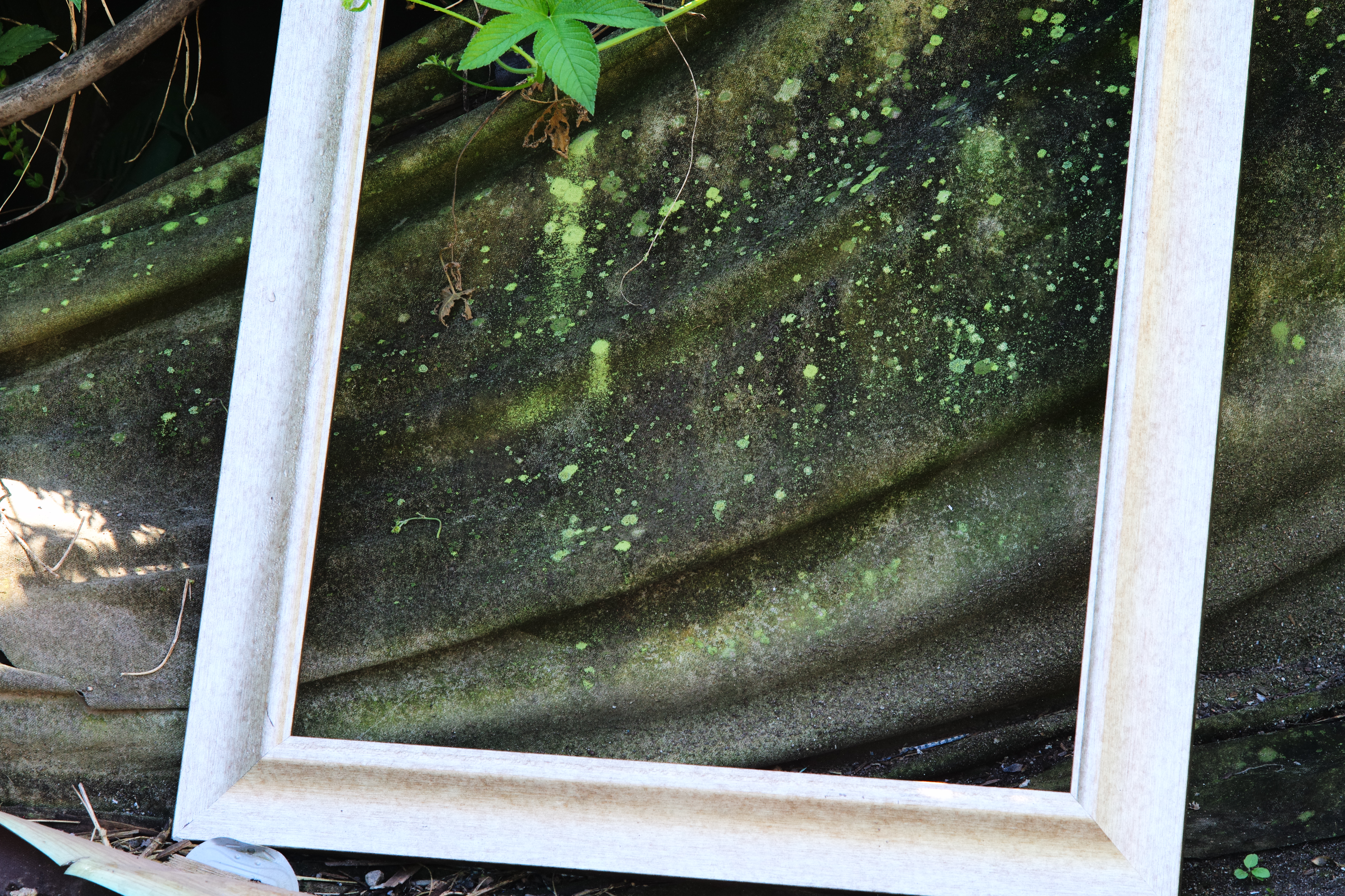 2025, 〈시간의 흔적〉, Inkjet print, 29x43cm