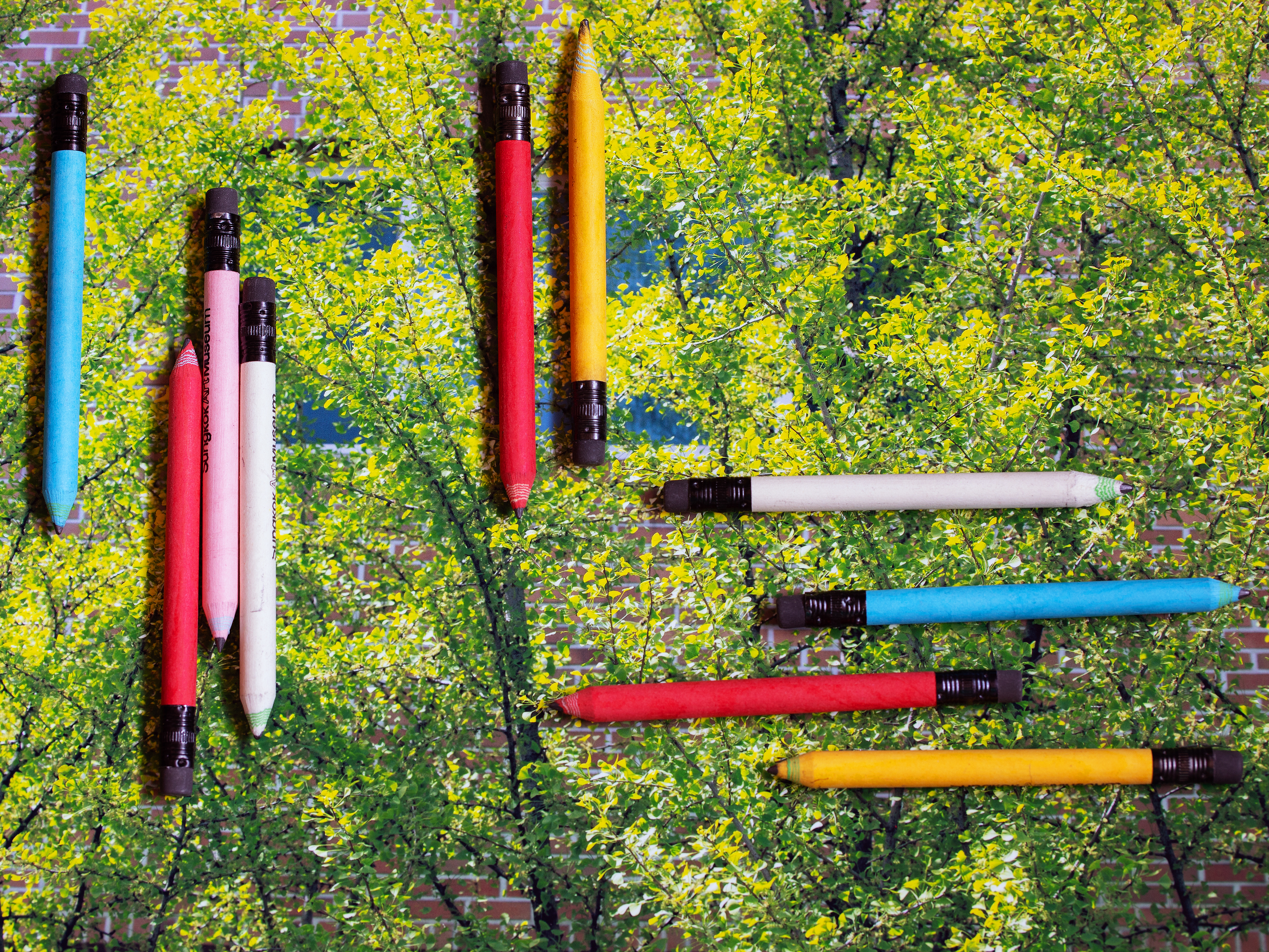 2025, 〈은행나무 위에〉, Inkjet print, 30x40cm