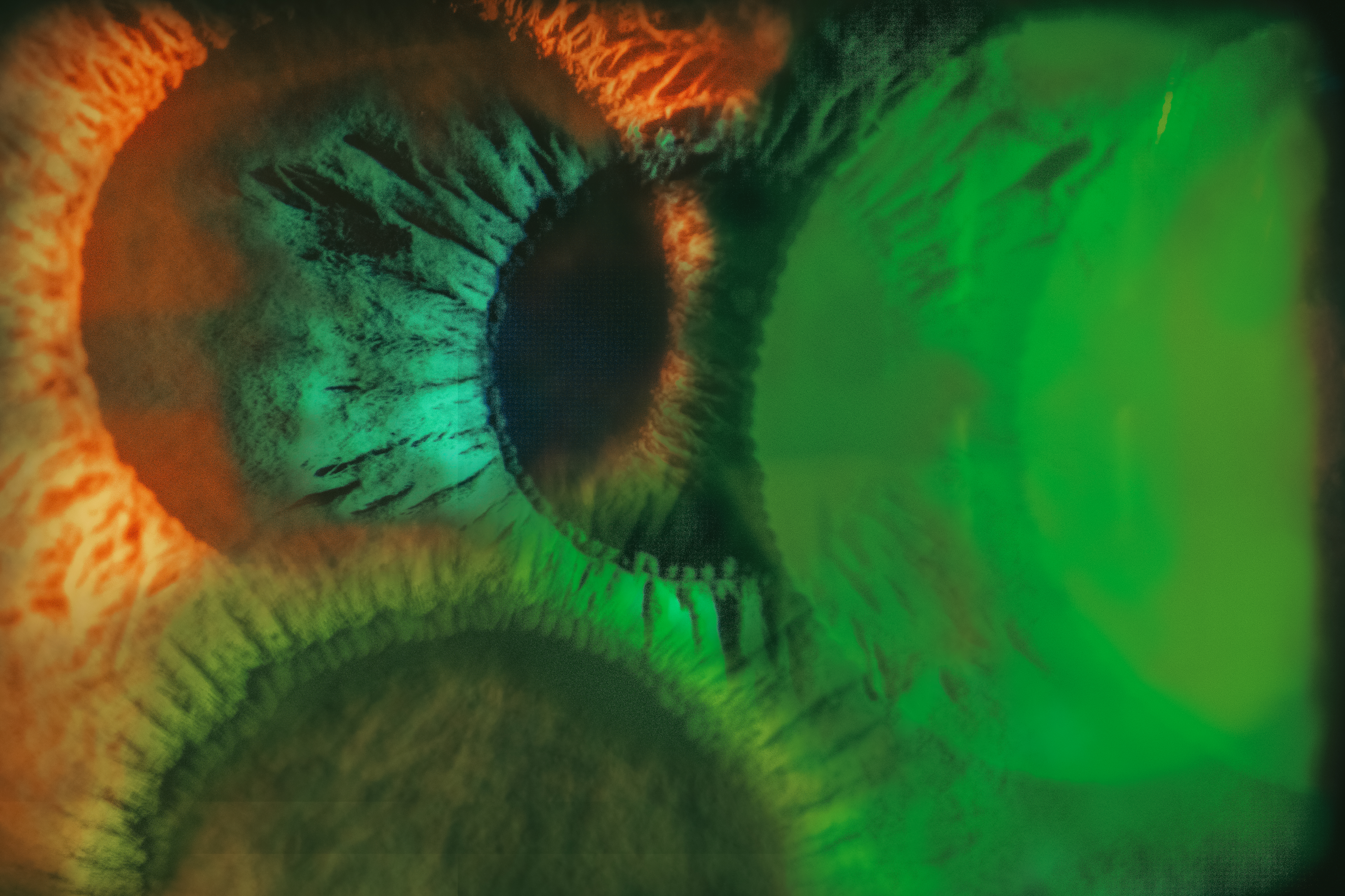 2025, 〈Microcosm in the Eye〉, Inkjet print, 36.6x50cm