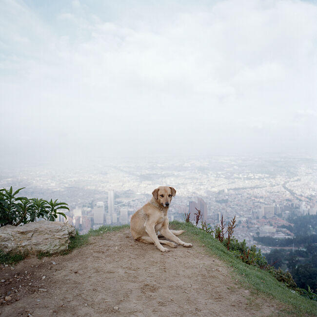 Bogota, Colombia, 2003, © Alec Soth/Magnum Photos 
