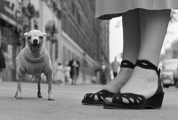 New York City, USA, ca. 1950, © Elliott Erwitt/Magnum Photos