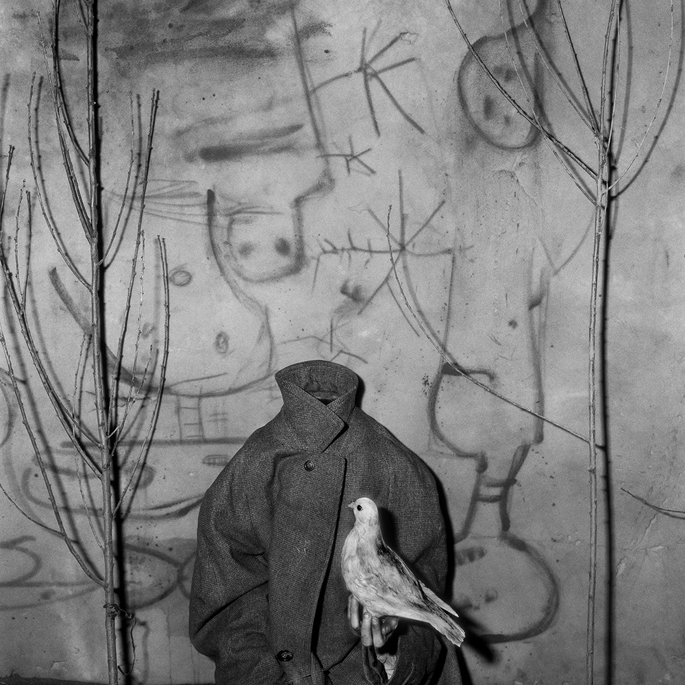 Headless, Asylum of the Birds series, 2006, Inkjet print, 63×63cm, ⓒRoger Ballen