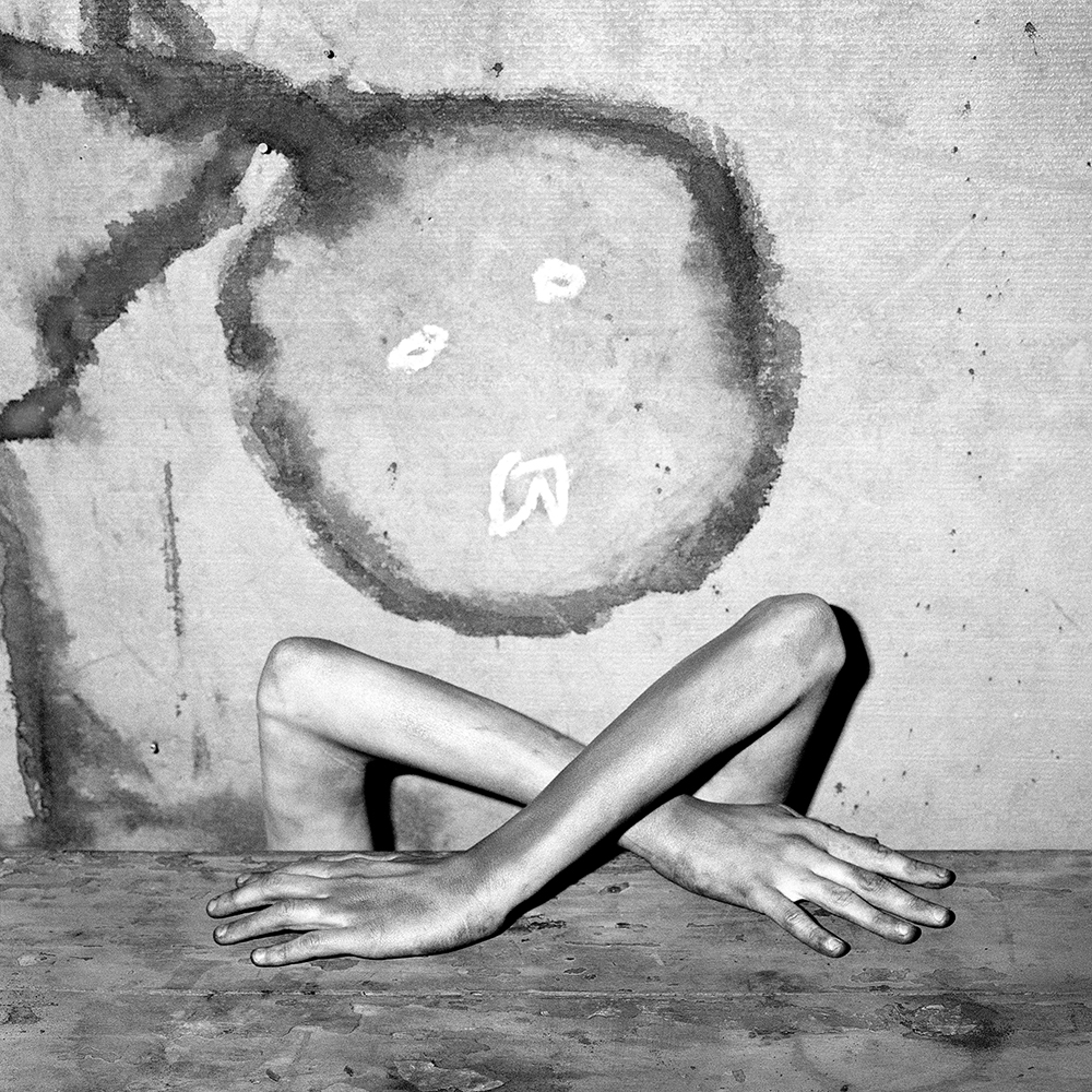 Mimicry, Shadow Chamber series, 2005, Inkjet print, 45×45cm, ⓒRoger Ballen