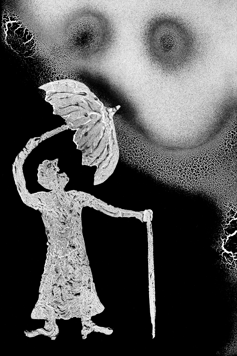 Thunderous, Theatre of Apparitions series, 2011, Lightbox panel, 65×44.8cm, ⓒRoger Ballen